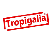 Patrocinador